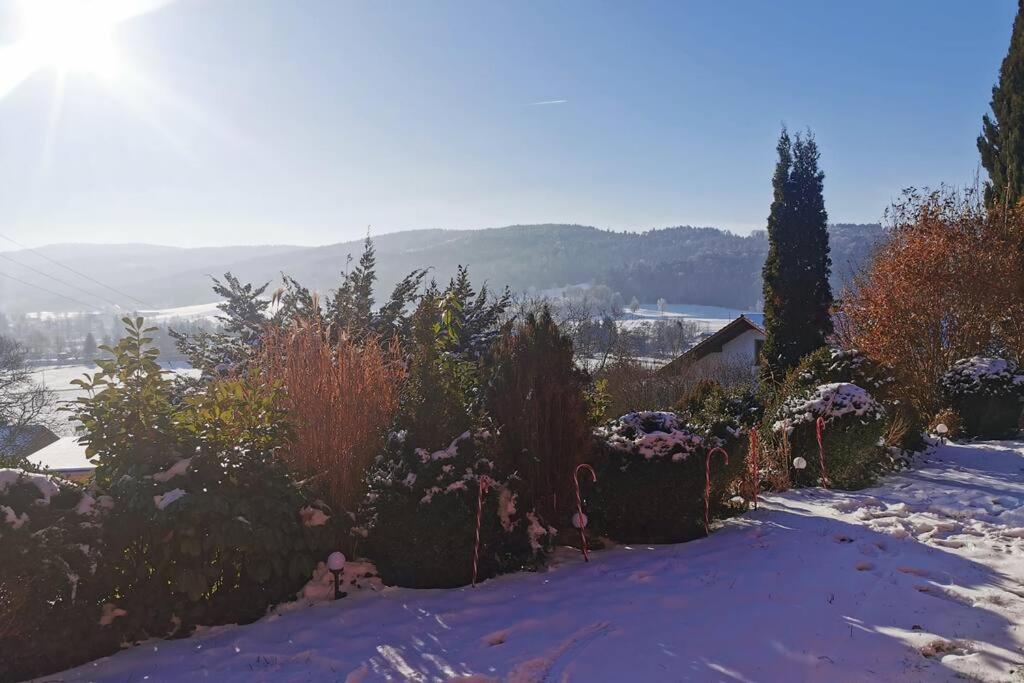 Chalet Bambi Blaibach Екстериор снимка